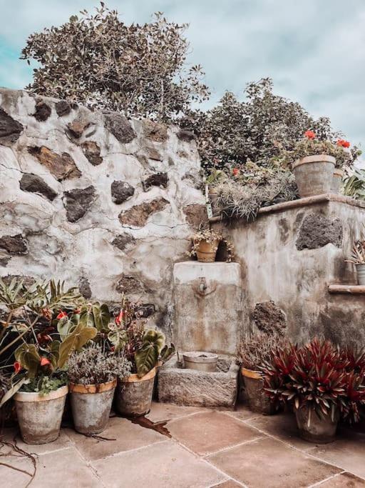 サンタ・クルス・デ・ラ・パルマ スペイン Casa La Encarnacionヴィラ エクステリア 写真